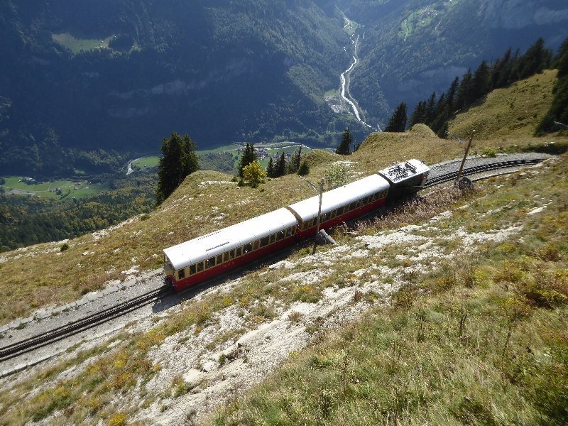 Schynige Platte 8